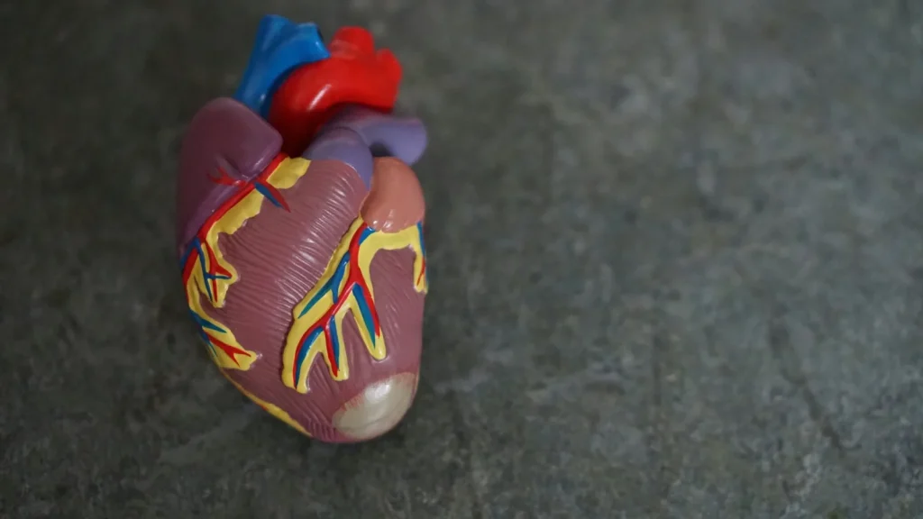 Cardiovascular care at Alliance Heart & Vascular