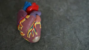 Cardiovascular care at Alliance Heart & Vascular