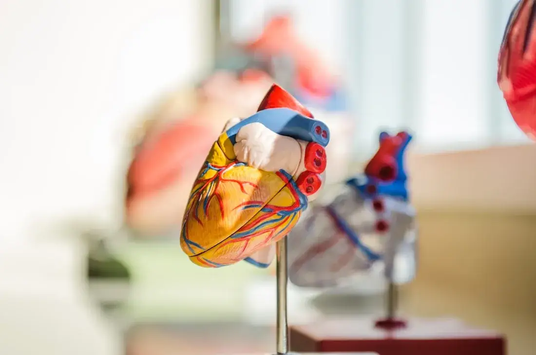 Heart health library