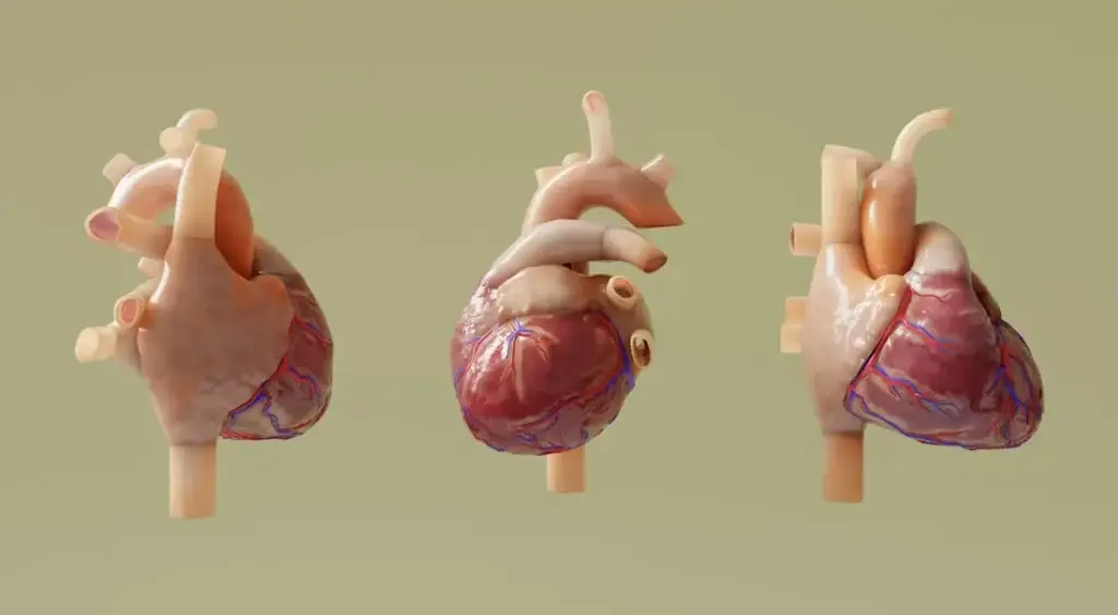 Interventional cardiology